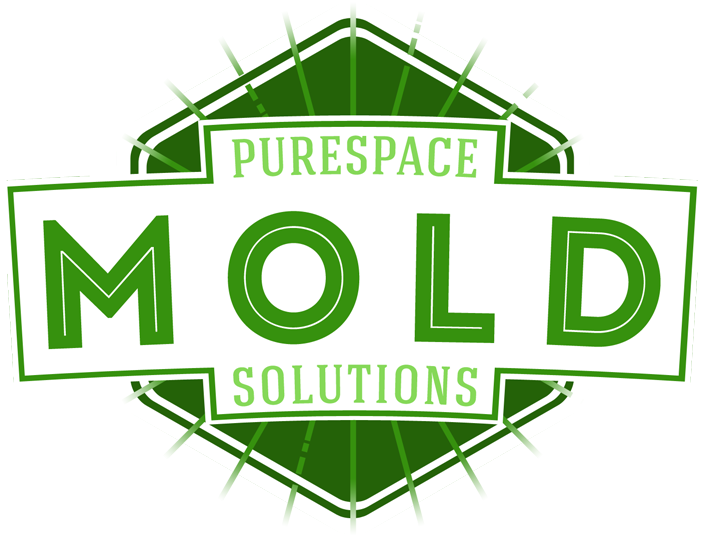 Have Issues With Mold Or Recovering From A Fire (779x816), Png Download