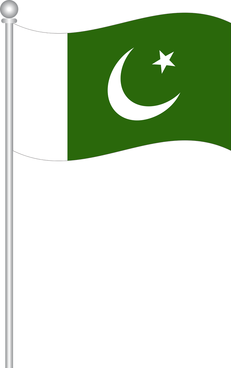 Photo Credit - Pixabay - Pakistan Flag Vector Png (805x1280), Png Download