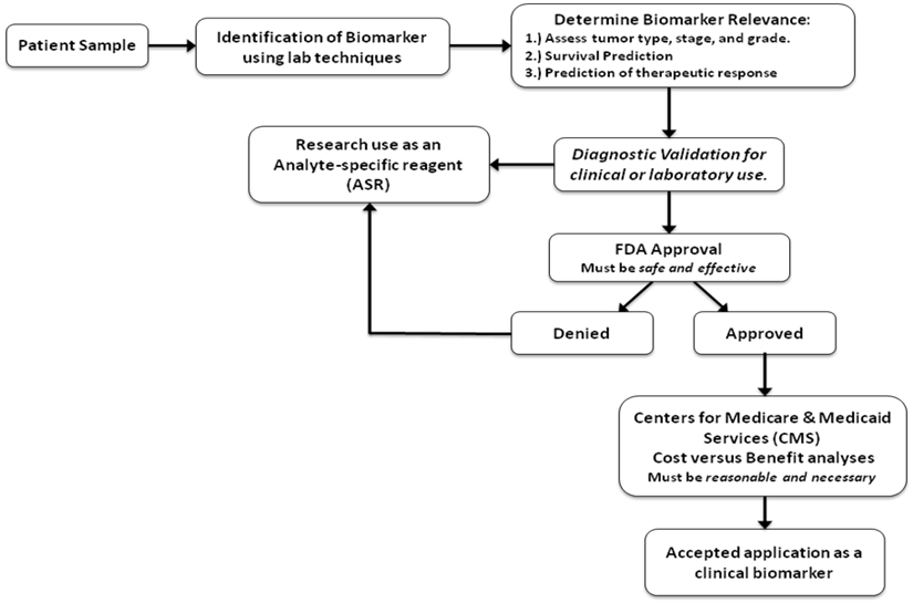 J Cancer Image - Journal Of Cancer (825x545), Png Download