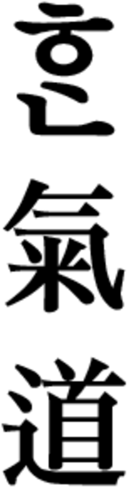 Hankido, A Martial Arts, Using The Obsolete Vowel Arae-a - Kanji Symbols (330x990), Png Download