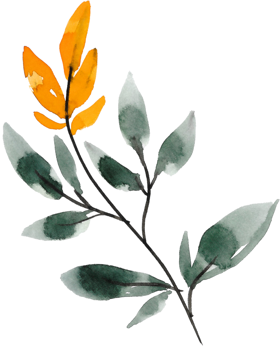 37 - Portable Network Graphics (1000x1141), Png Download