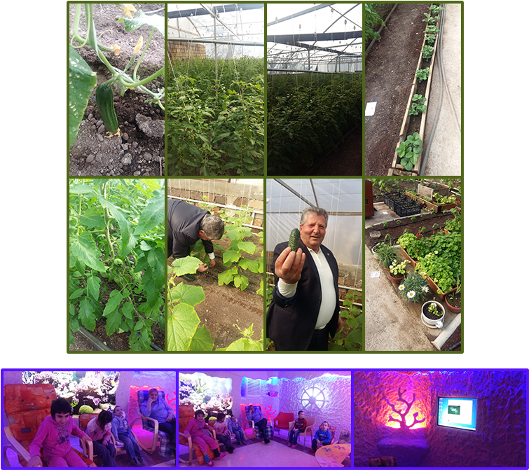 Dzorak Greenhouse Mari Izmirlyan Salt Cave - Dzorak, Syunik (796x704), Png Download