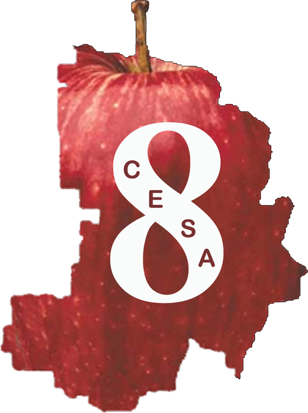 Cesa 8 New Logo - Cesa 8 (1000x1343), Png Download