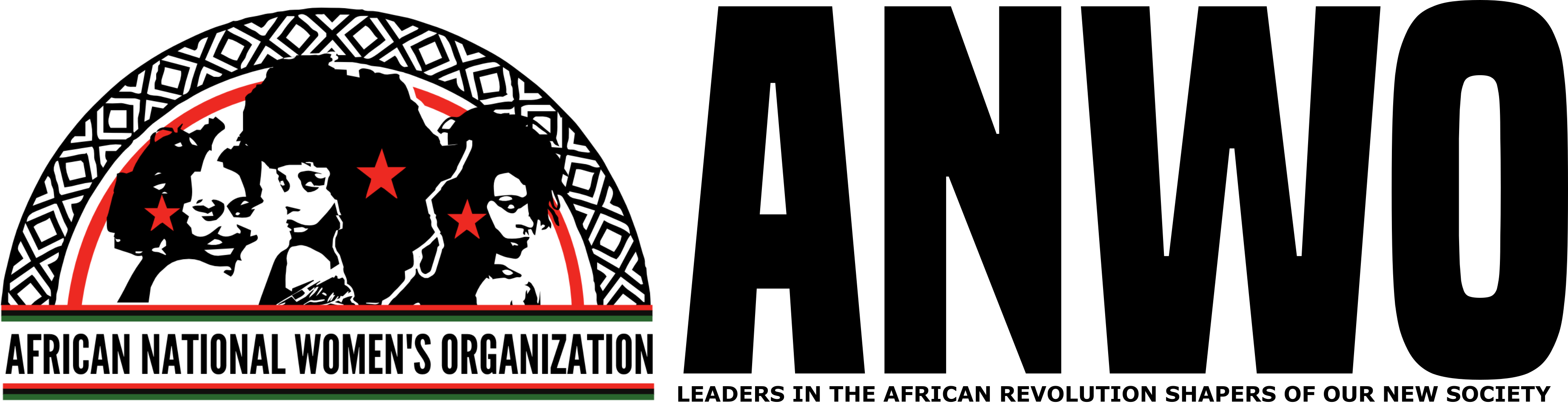 Logo - Organization (3686x951), Png Download