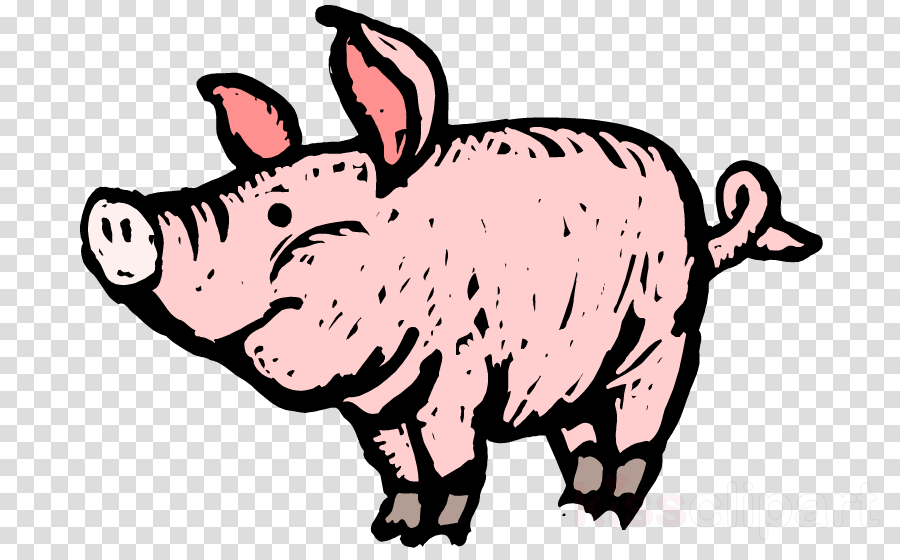 Download Pig Fingerplays Clipart Pulled Pork Anna's - Two Mother Pigs Finger Play (900x560), Png Download