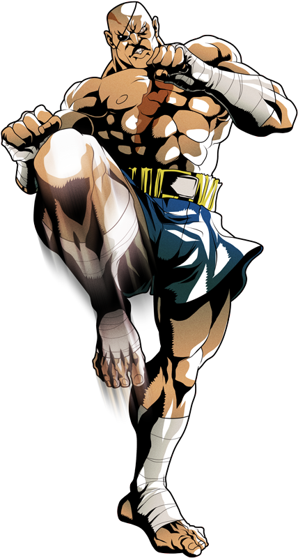 Sagat Street Fighter Png (445x823), Png Download