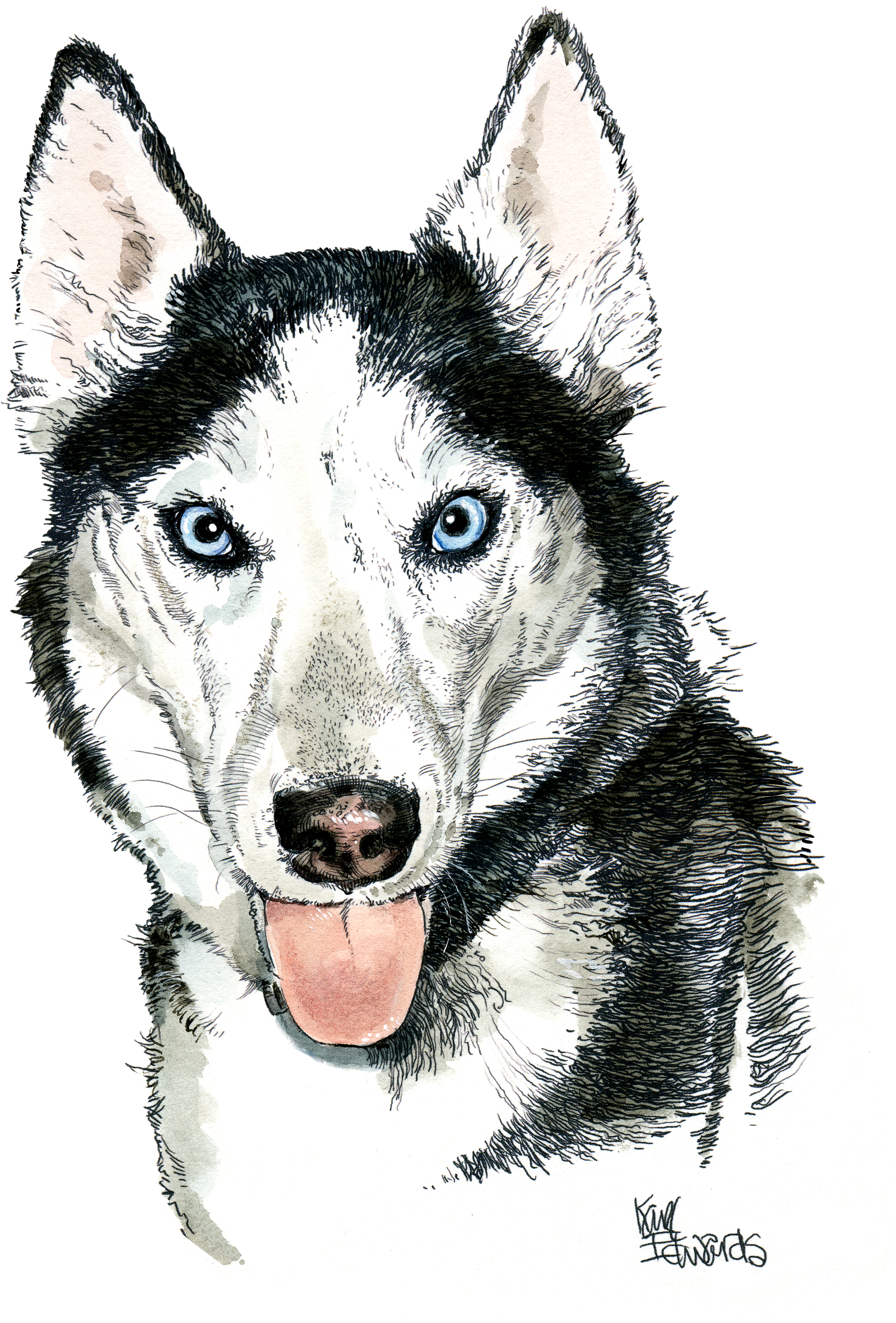 My Experience With Karl Edwards And His Brilliant Eye - Sakhalin Husky (1844x2600), Png Download
