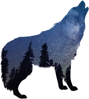 Lupo Stencil (500x333), Png Download