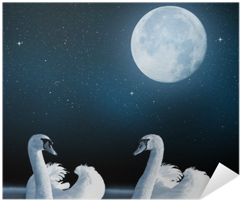 Beddinginn 3d White Swans Couple And Heart-shaped Clouds (400x400), Png Download