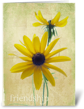 Friendship Greeting Card - Black-eyed Susan (350x396), Png Download