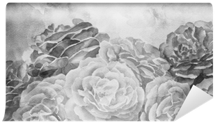Black And White Roses In Hand Painted Watercolor Background - Watercolor Painting (400x400), Png Download