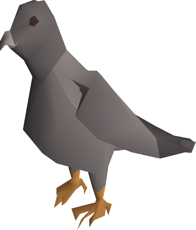Pigeon - Pigeon Png (663x778), Png Download
