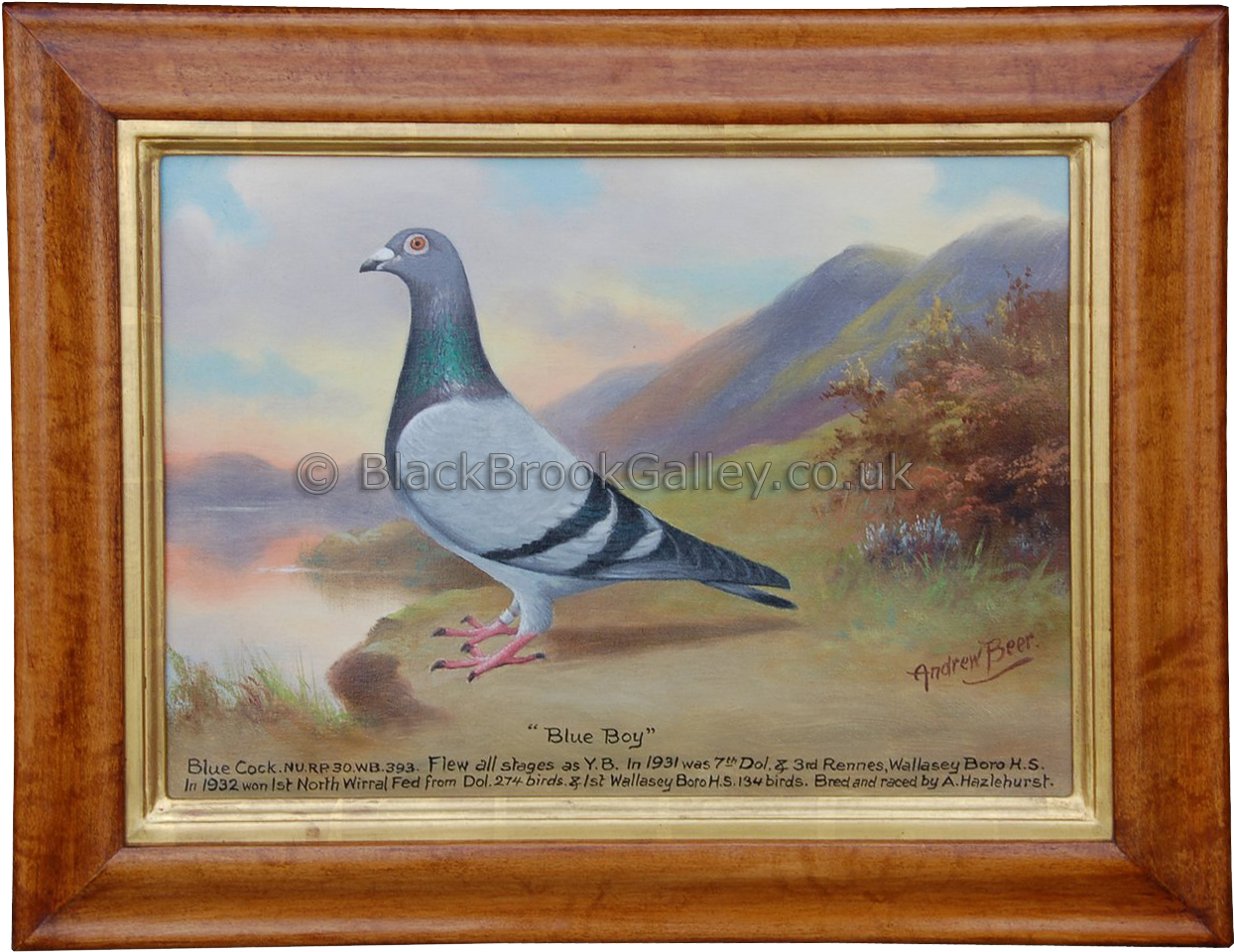 More Views - Andrew Beer (1500x997), Png Download