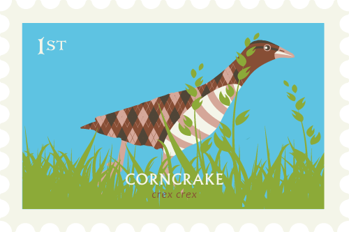 Coll Bird Festival May - Festival (500x333), Png Download