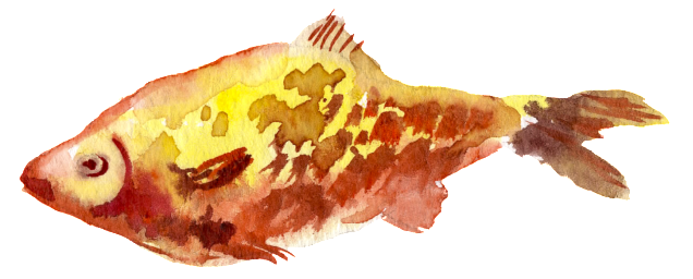 Yellow Fish Watercolor Hand Drawn Transparent - Design (1024x1024), Png Download