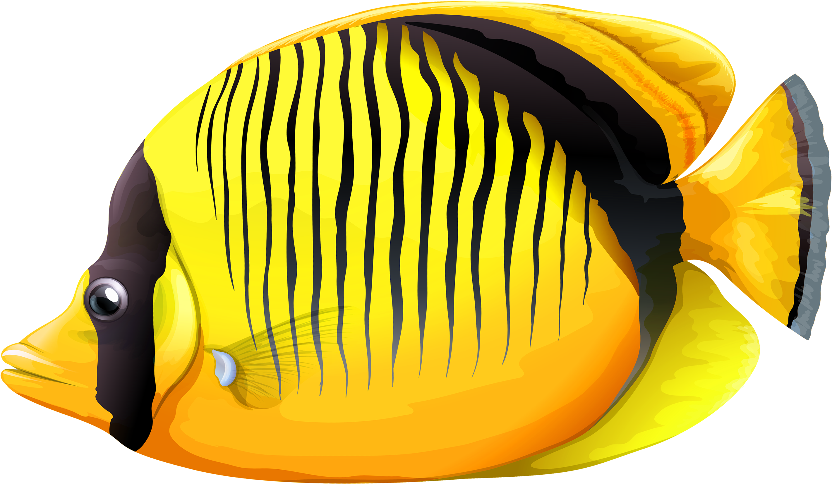 Gold Fish Clipart Realistic Fish - Fish Png Clipart (3000x1819), Png Download