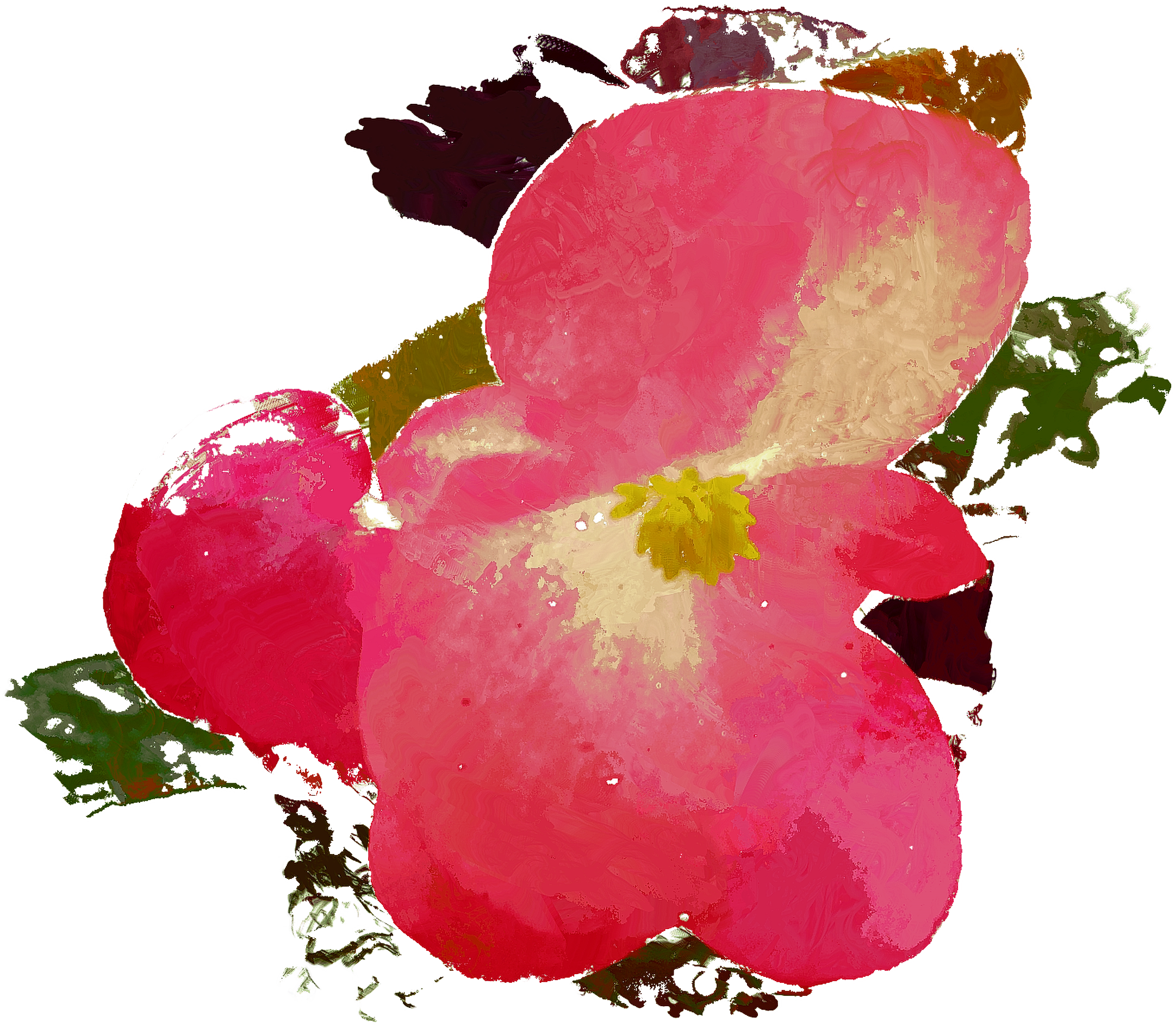 Impatiens (2163x1893), Png Download