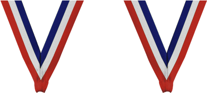 Quality Premium - Red White And Blue Ribbon Png (531x452), Png Download