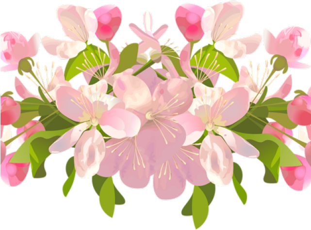 Peach Flower Clipart Transparent (640x480), Png Download