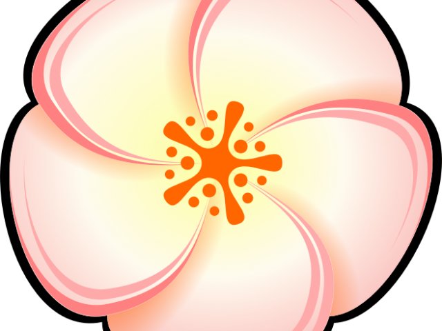 Peach Flower Clipart - Clip Art (640x480), Png Download