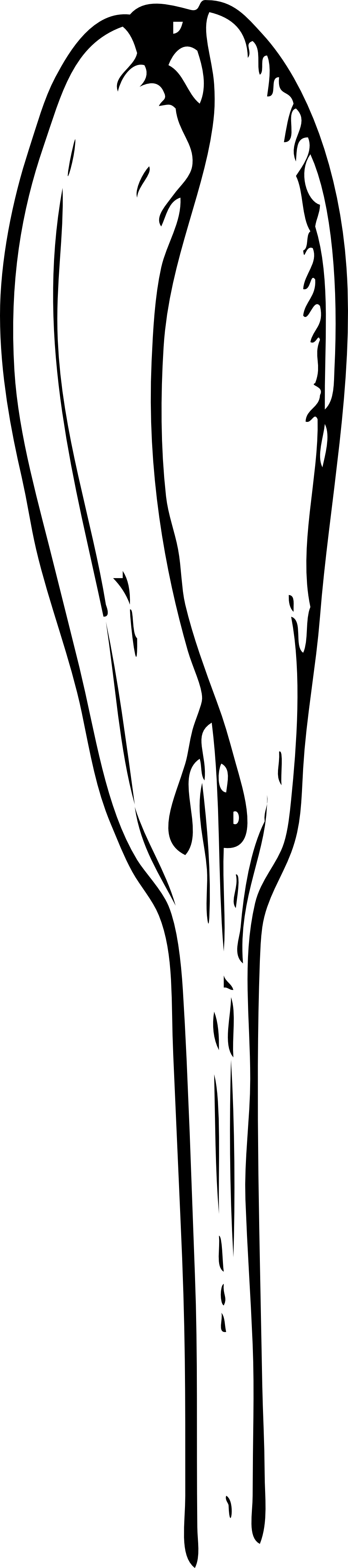 Xochi Crocus Bud 999px - Bud Black And White (999x4497), Png Download