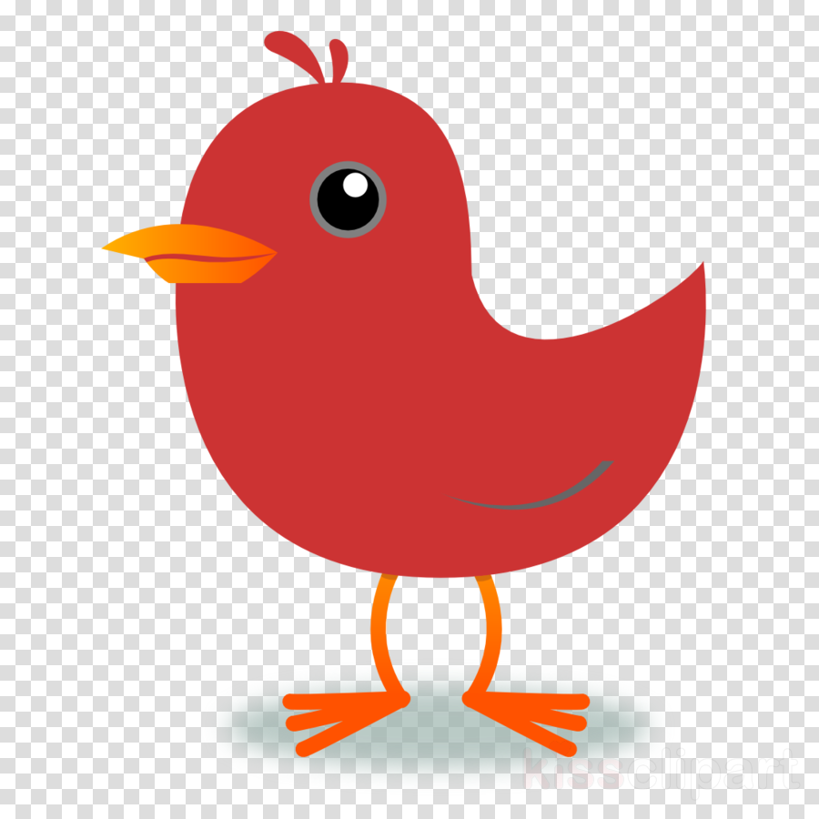 Red Bird Clipart Bird Northern Cardinal Clip Art - Song Bird Clip Art (900x900), Png Download