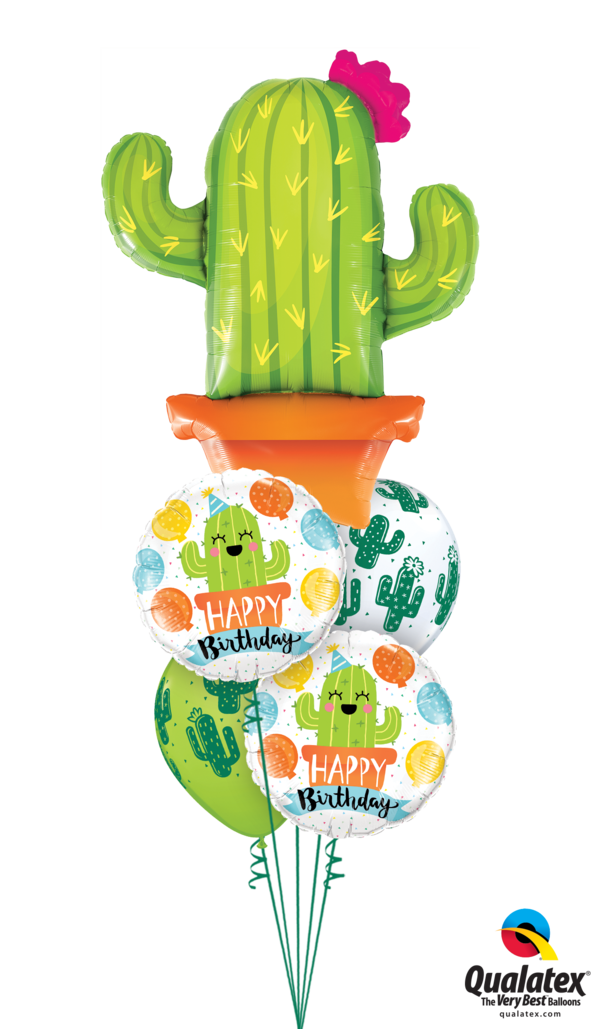 Little Cacti Birthday Guy - 06" Qualatex Latex Quicklink Orange 50 Count - Latex (600x1029), Png Download