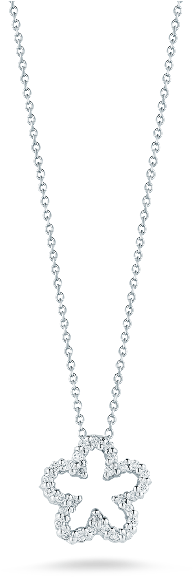 Roberto Coin Tiny Treasures 18k White Gold Flower - Locket (1600x1600), Png Download