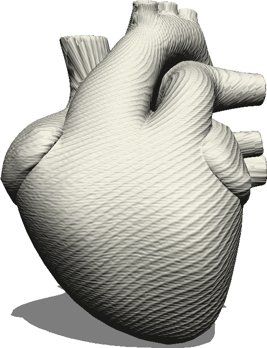 Heart - Illustration (1024x1024), Png Download