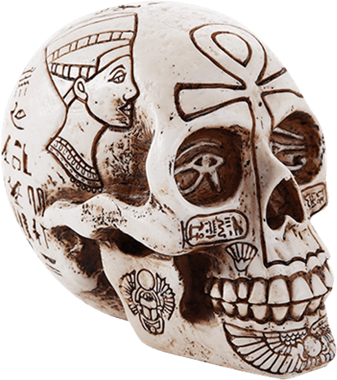 Egyptian Hieroglyph Skull Statue - Ancient Egyptian Inspired Nefertiti King Tut Ankh Skull (555x555), Png Download