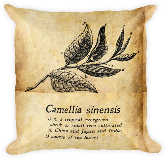 Camellia Sinensis Tea Gift Pillow - Cushion (600x600), Png Download