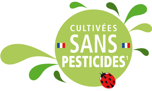 Logo Cultivées Sans Pesticides - Logo Produit Sans Pesticides (800x566), Png Download