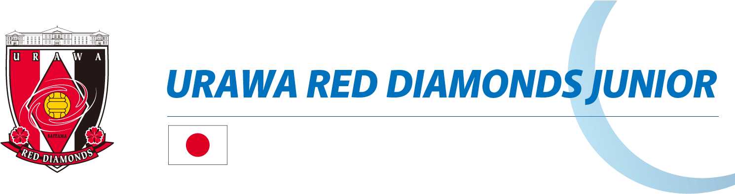 Red Diamonds Png (1600x400), Png Download