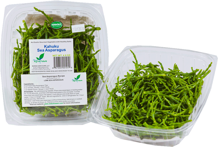 Fresh Sea - Salad (936x936), Png Download