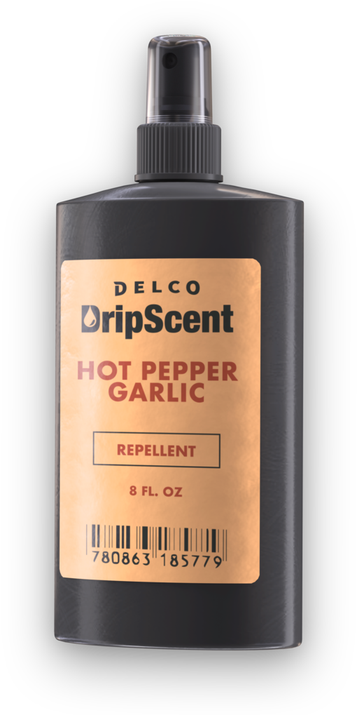 Hot Pepper Garlic - Peppermint (1024x1024), Png Download