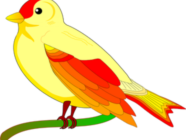 Sparrow Clipart Colorful - Identifying Big And Small (640x480), Png Download