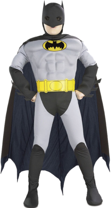 Batman Costume Png (500x793), Png Download