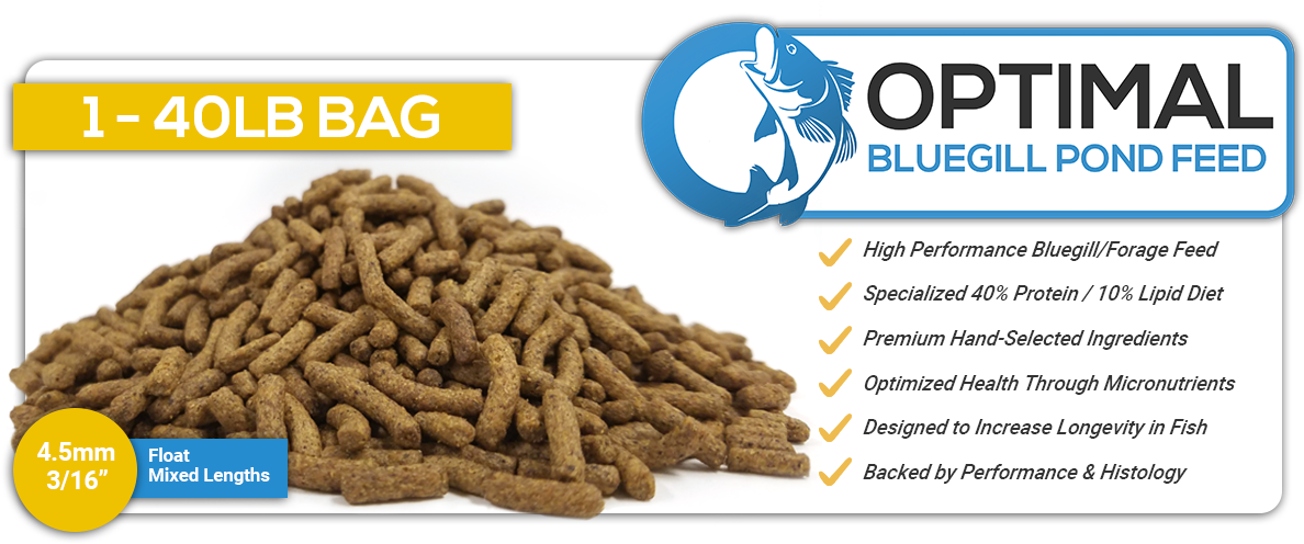 Bluegill Feed (1200x495), Png Download