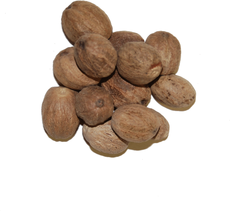 Nutmeg - Whole - Essential Oil (1024x1024), Png Download