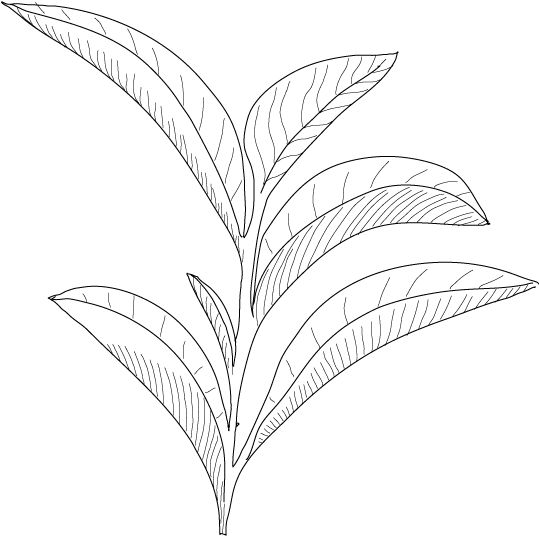 Formulations - - Cosmetics (600x550), Png Download