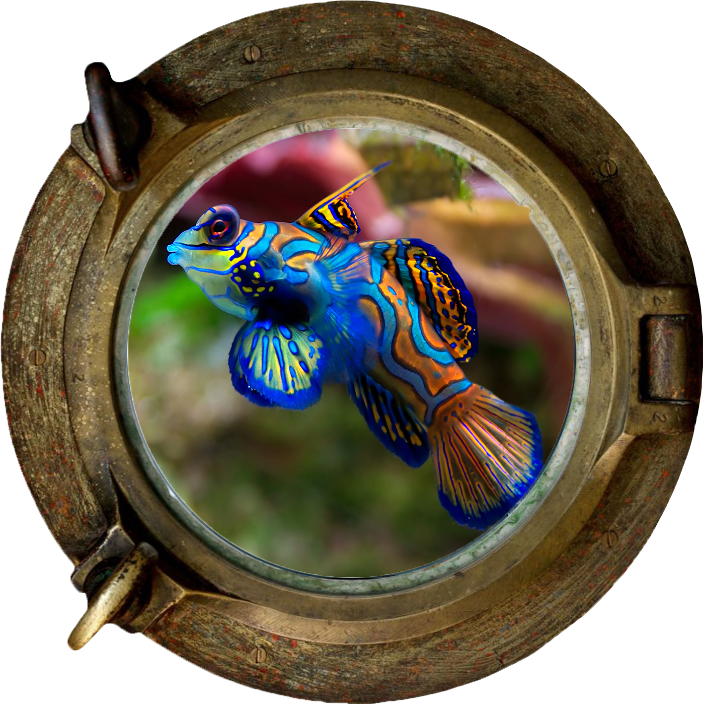 Dragonets (1890x1417), Png Download