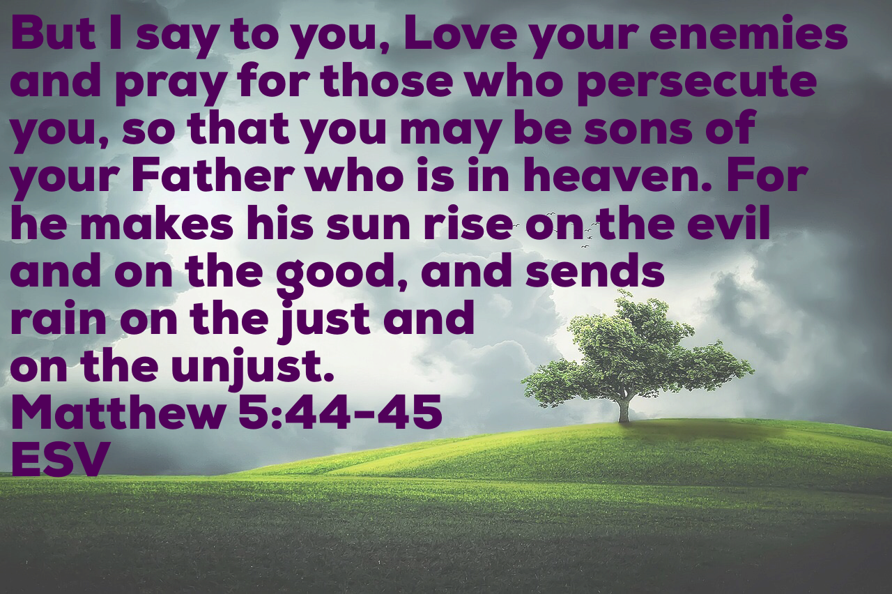 The Holy Spirit Pours Out Godly Love In The Hearts - Il Dio Dei Viventi [book] (1280x852), Png Download