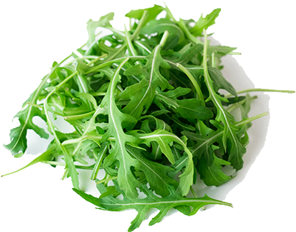 ‹ › - Celery (847x1000), Png Download