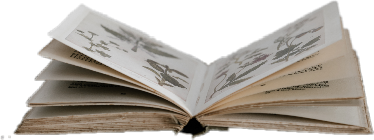 Download Hd Flying Books Png Transparent Png Image Nicepng Com