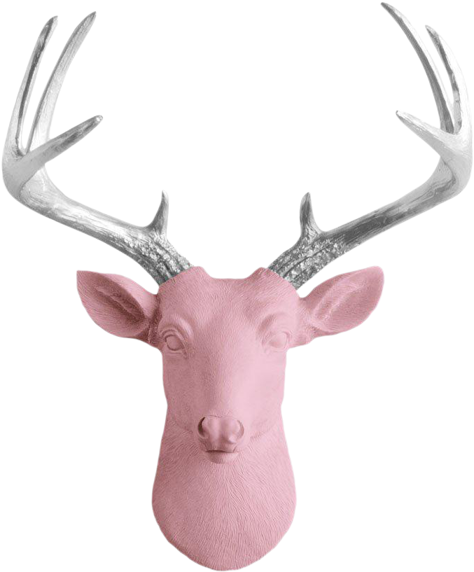 Freeuse Library Blossom Antler Pink Faux Head Mini - Mini Deer By Wall Charmers | White + Gold Antler Faux (751x907), Png Download