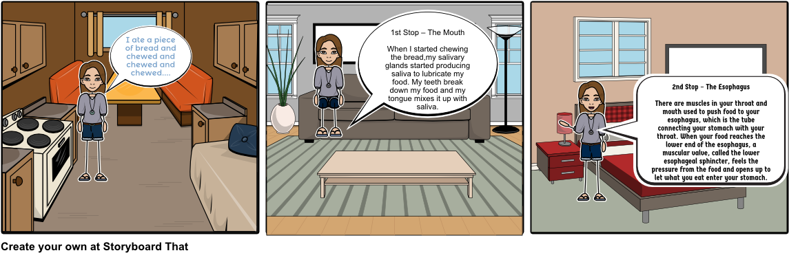 Biology - Cartoon (1164x385), Png Download