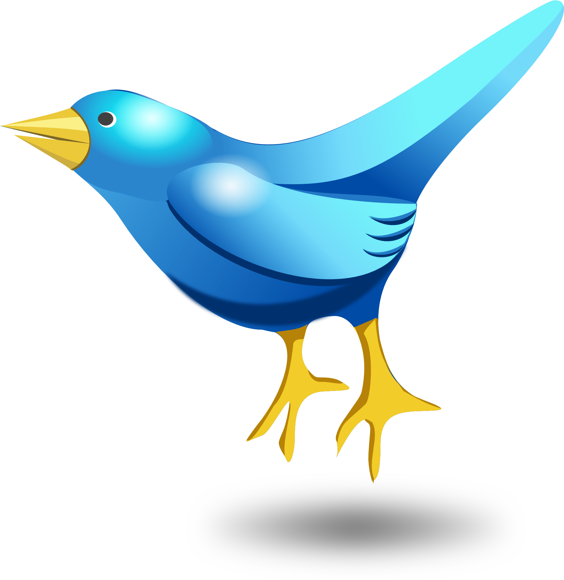 Bird Vector Png (1984x1994), Png Download