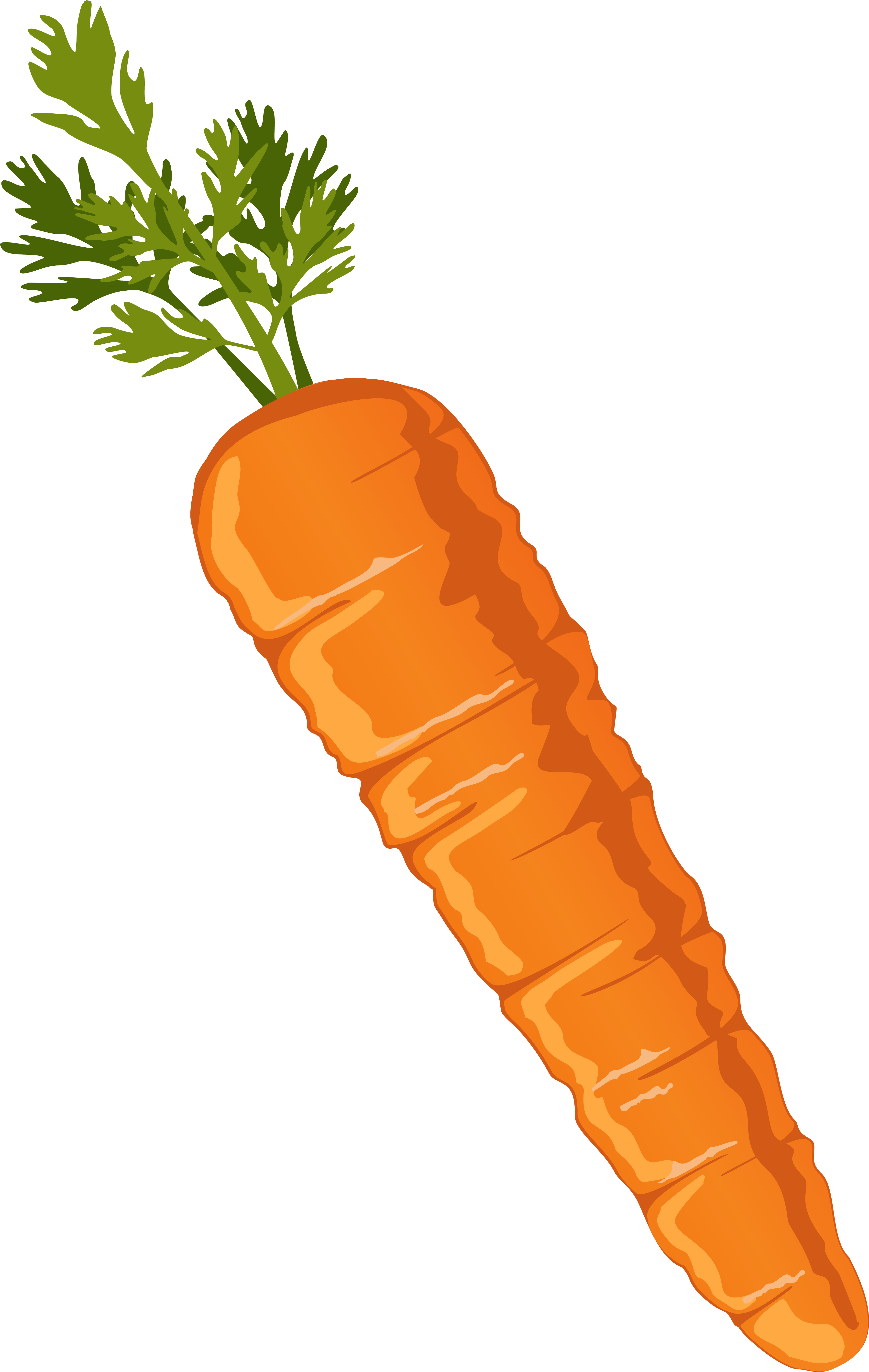 Food Clipart, Carrot Drawing, Carrots, Clip Art, Image - Transparent Background Carrot Clipart (385x600), Png Download