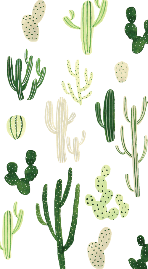 Steffi Lynn - Cactus Wallpaper Iphone (500x909), Png Download