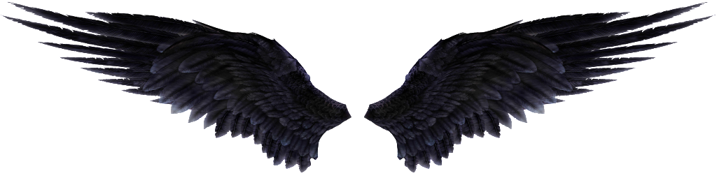 Black Angel Wings Png (1023x329), Png Download